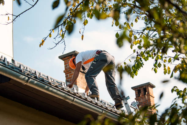 Best Best Roofing Contractors  in Starbuck, MN