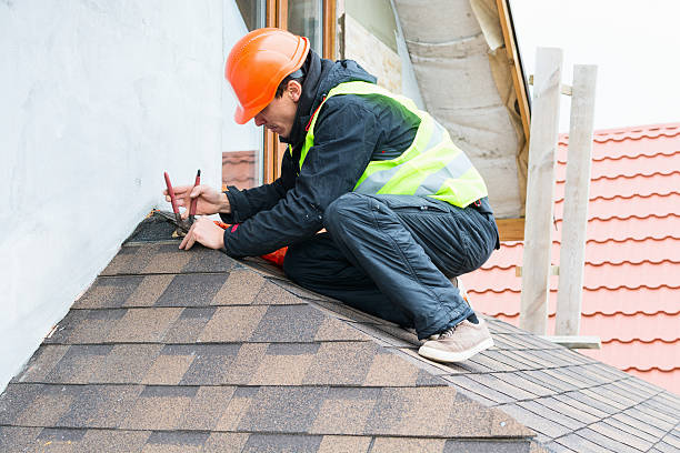 Best Roof Restoration Services  in Starbuck, MN