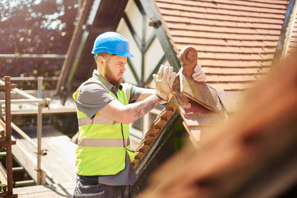 Best Sealant for Roof  in Starbuck, MN